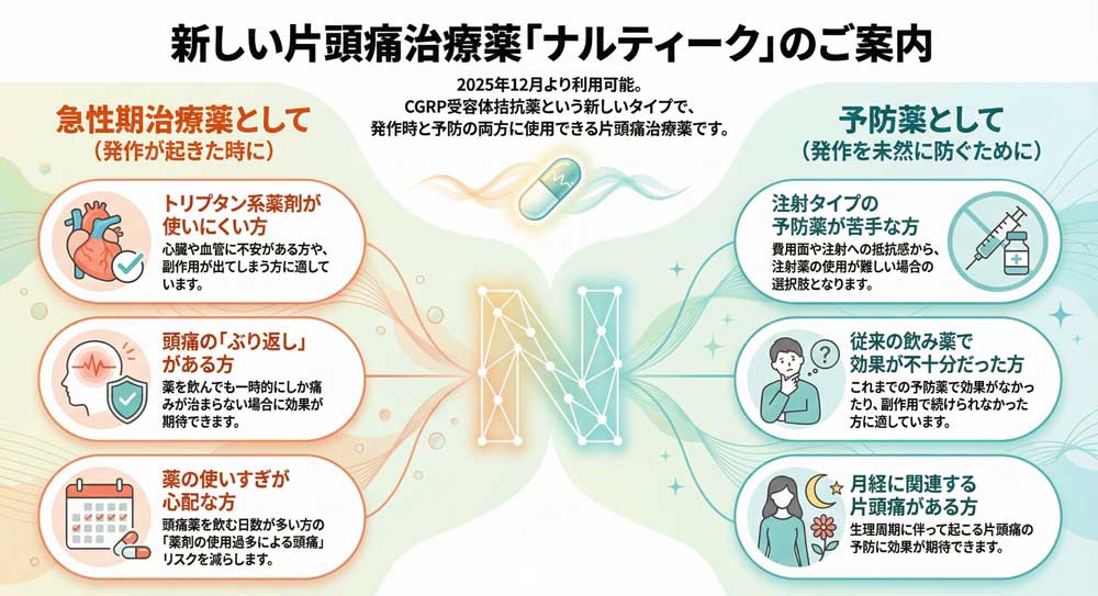 ナルティークについて